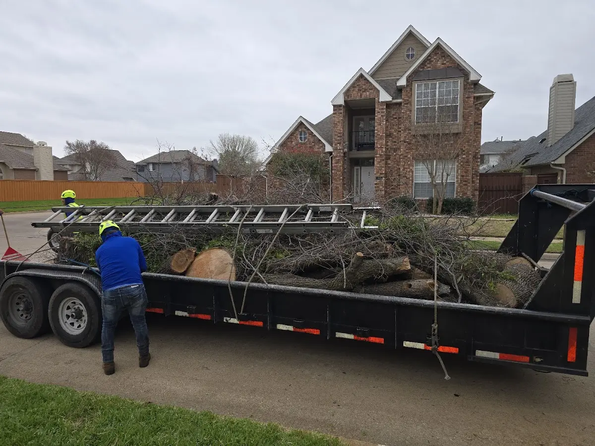Expert Lot Clearing with proper safety equipment in Fulton